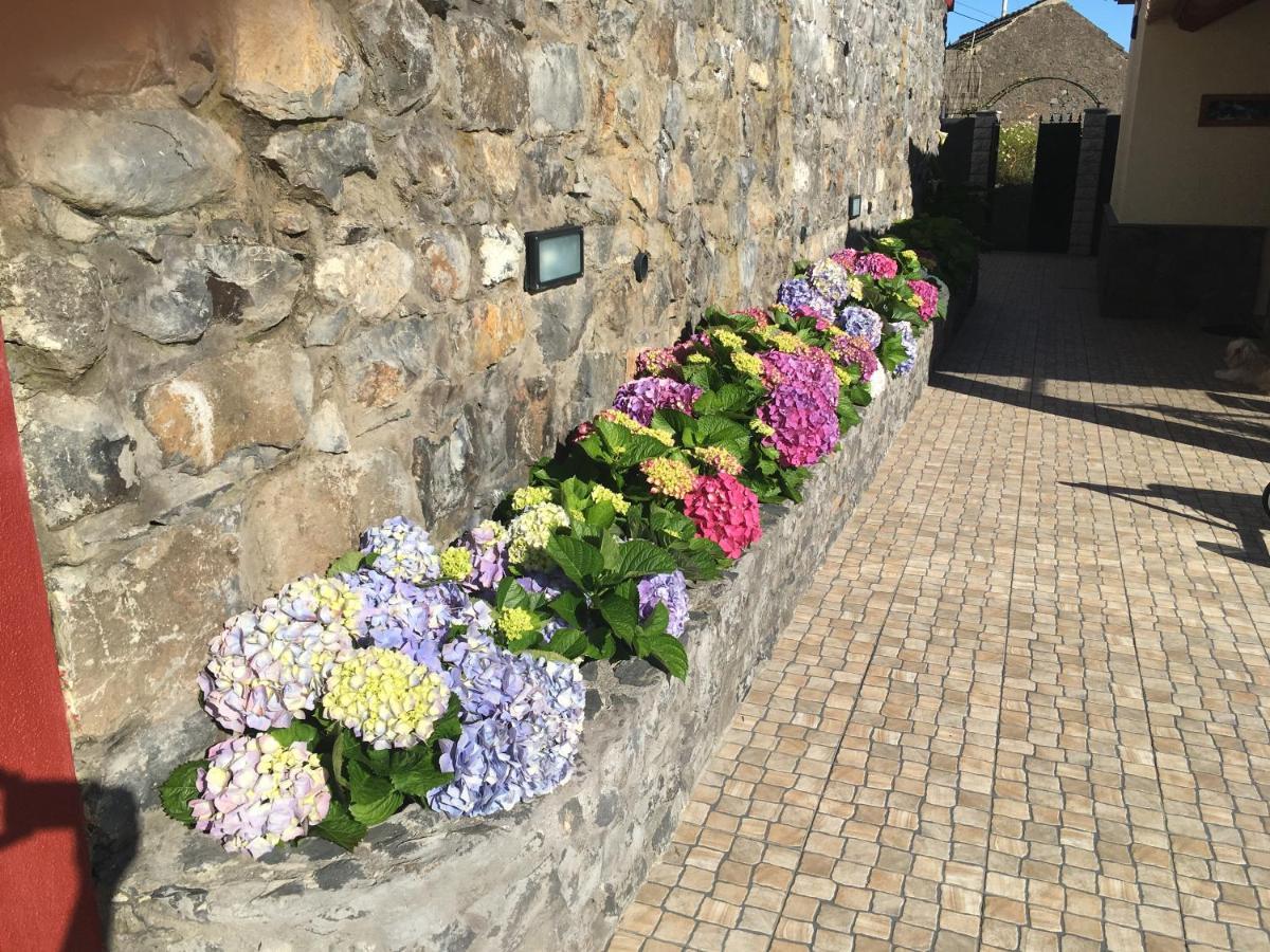 Casa Da Rainha Bungallow Estreito Da Calheta Екстер'єр фото